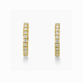 Yellow Gold Hoop Earrings with White CZ Stones