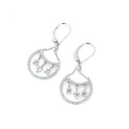 Platinum Plated Silver Earrings