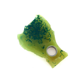 Δαχτυλίδι Barbara Uderzo