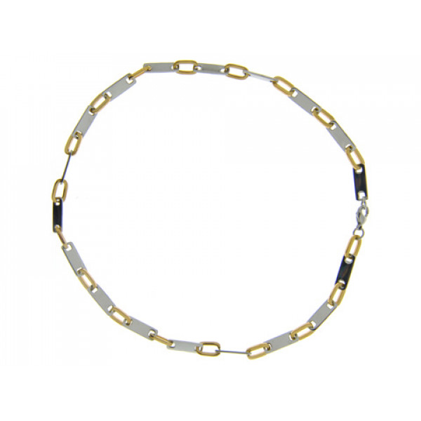 Chain Necklace with Stainless Steel and Gold Plating