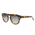 Art of Glass Unisex Acetate Sunglasses Tortoiseshell