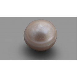 World's Oldest Pearl