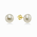 18K Gold Plated Freshwater Pearl Stud Earrings 